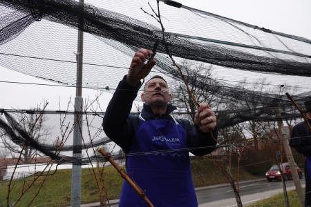 januar 2025 vicekova rez (121)